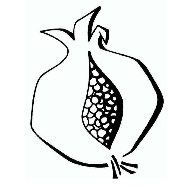 dessin d'une grenade